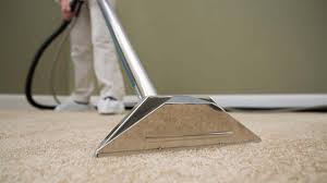 carpet cleaning services