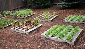 Diy Garden Ideas For Using Old Pallets