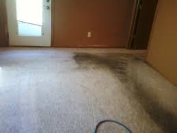 carpet cleaners colorado springs