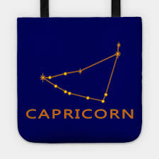 Capricorn Constellation Zodiac Star Chart