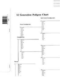 Amazon Com 15 Generation Pedigree Chart 10 Pack Chart Paper