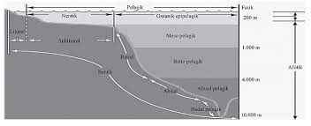 (2) evaporasi lebih tinggi dari peresapan. Ekosistem Laut Wikipedia Bahasa Indonesia Ensiklopedia Bebas