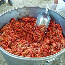 best of guide crawfish