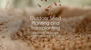 outdoor seed planting and transplanting