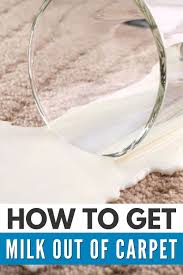 how to get milk out of carpet and