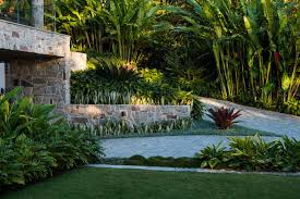 Tropical Garden Palm Beach Tropical