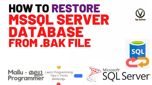 re database from a bak file in sql