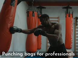 punching bags for professionals top