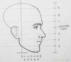 But this drawing lesson will show you how to draw a face, one way. How To Draw A Face From The Side 10 Steps Rapidfireart