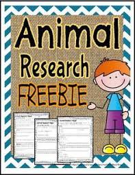updated animal research reports wilderness walk  rd grade thoughts     animal report printable