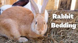 how to prepare a good rabbit bedding