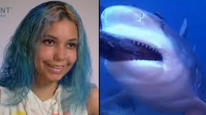 It was a serious injury, said marie levine, executive director of the shark research institute in princeton. 17 Year Old Recounts Shark Attack Youtube