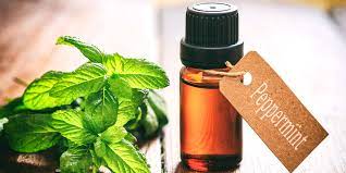 peppermint oil uses and benefits for