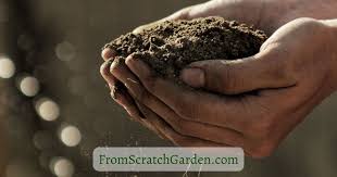 How To Prepare Your Garden Soil For