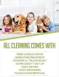 carpet cleaning lynnwood one stop