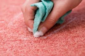 diy carpet cleaning