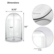 Large Glass Cloche Display Dome Cover