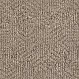 tuftex carpet by shaw save 30 60