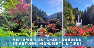 victoria s butchart gardens in autumn