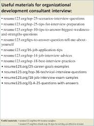 Business Consultant Sample Resume Nppusa Org