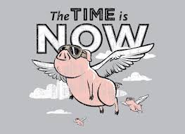 Image result for now is the time