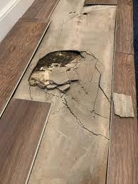 Pound for pound hardwoods and softwoods will create about the. Lvp Buckling And Leveling Cement Under It Cracking