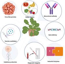 Plant Viruses And Molecular Farming