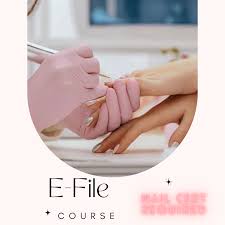 e file course nsi hair nail and beauty