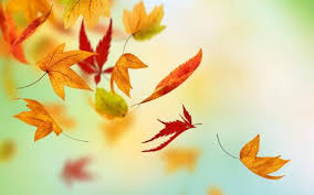 Image result for autumn leaves money