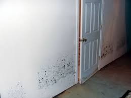 basement drywall repair panels in