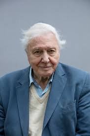 Discuss his documentaries or anything else which you may find relevant. At 92 Filmmaker David Attenborough Wants To Fix Our Climate Time
