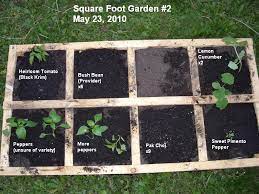 A Single Step Square Foot Gardening