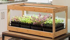 Growing Vegetables Indoors Under Led