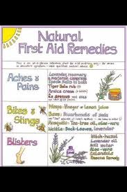 Natural First Aid Remedies By Brooklyn Maciborski Musely