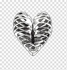 Hand drawn line art anatomically correct human ribcage vector illustration. Heart Rib Cage Human Skeleton Drawing Chest Tattoo Transparent Background Png Clipart Hiclipart