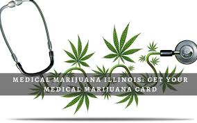 Veriheal's platform offers a simple, speedy solution for scheduling an appointment with a local medical. Medical Marijuana Illinois Get Your Medical Marijuana Card Plantsily Indoor Growing We Ve Got You Covered