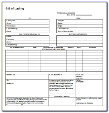 Four thousand two hundred mt whole red lentils (4,200.000 mt) Bill Of Lading Form Word Document Vincegray2014