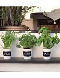 Kitchen Herb Planter Kit