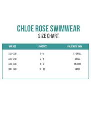 Chloe Rose Size Chart South Beach Swimsuits