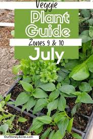 Gardening In July Zones 9 10 Our