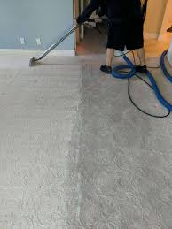 horizon carpet cleaning service 8448