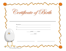 Birth certificate form certificate maker certificate format certificate design template adoption certificate funny certificates certificates buy fake birth certificate online with verification for sale at superior fake degrees. 15 Birth Certificate Templates Word Pdf á… Templatelab