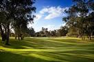 Albury Golf Club Tee Times - New South Wales | GolfNow
