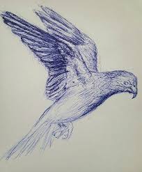 a flying bird pen drawing peakd