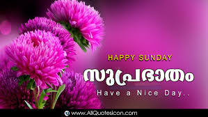 Here is a nice good morning inspirational thoughts with best quotes good morning malayalam images, malayalam good morning sms greetings online, awesome malayalam latest good morning thoughts in malayalam language, cool malayalam language good morning girls quotes. Best Happy Sunday Malayalam Good Morning Quotes Images Hd Wallpapers Best Life Inspiration Quotes In Malayalam Whatsapp Pictures Online Good Morning Malayalam Quotes Free Download Www Allquotesicon Com Telugu Quotes Tamil
