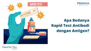 Jika ada, maka hasil rapid test dinyatakan positif ada infeksi. Hasil Rapid Test Covid 19 Anda Reaktif Apa Selanjutnya Primaya Hospital