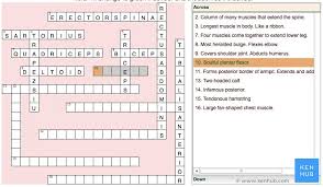 If you're still haven't solved the crossword clue bones, in anatomy then why not search our database by the letters you have already! How To Learn Anatomy While Playing Games Kenhub