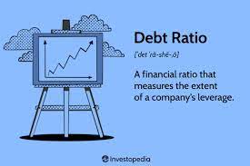 what is the debt ratio