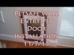 petsafe small dog cat in wall pet door