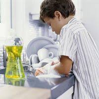 Image result for kids chores